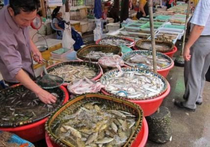 水產品放心吃！多地市場核酸檢測陰性，安全有保障